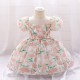 12M-3Y Toddler Girls Floral Puff Sleeve Mesh Princess Dresses  Girls Clothes  
