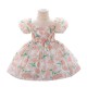 12M-3Y Toddler Girls Floral Puff Sleeve Mesh Princess Dresses  Girls Clothes  
