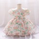 12M-3Y Toddler Girls Floral Puff Sleeve Mesh Princess Dresses  Girls Clothes  