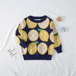 Kid Round Neck Strawberry & Lemon Print Knit Sweater  