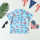 9M-4Y Toddler Boys Independence Day Hat Flag Print Polo Shirts  Boys Boutique Clothing  