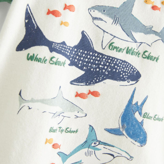 18M-7Y Toddler Boys Sets Shark Print T-Shirts And Shorts  Boys Clothing  
