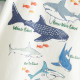 18M-7Y Toddler Boys Sets Shark Print T-Shirts And Shorts  Boys Clothing  